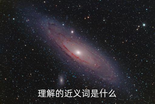 理解的近義詞是什么