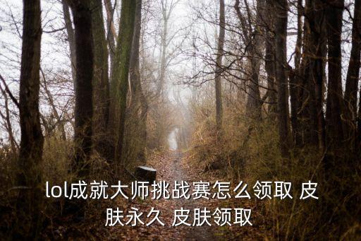 lol領皮膚活動,如何領取lol十周年神秘禮物?
