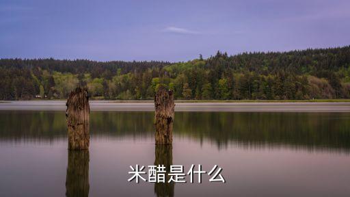 米醋是什么