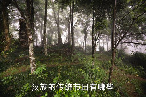 漢族傳統節日，漢族的傳統節日有哪些