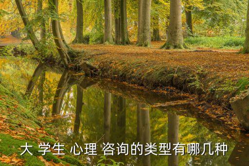 大 學生 心理 咨詢的類型有哪幾種
