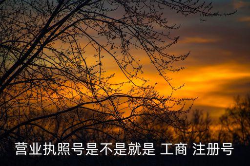 營業執照號是不是就是 工商 注冊號