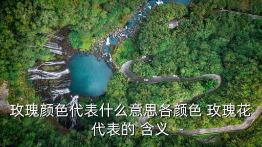 玫瑰顏色代表什么意思各顏色 玫瑰花代表的 含義