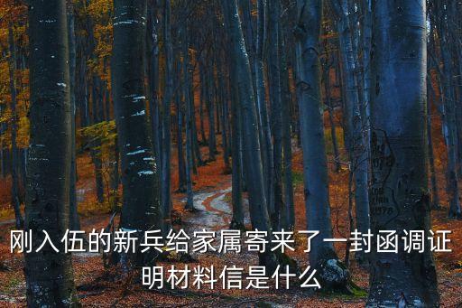 函調證明信，剛入伍的新兵給家屬寄來了一封函調證明材料信是什么