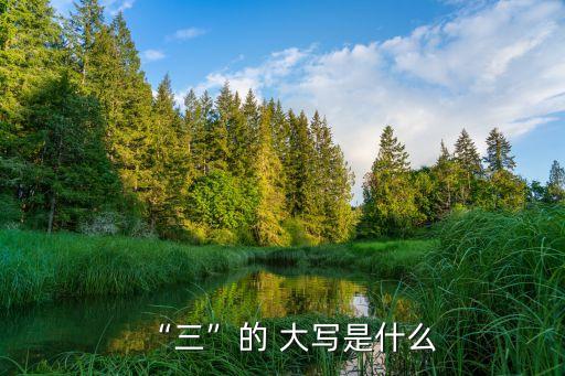 “三”的 大寫是什么