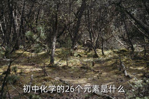 初中化學的26個元素是什么