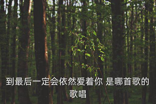 到最后一定會(huì)依然愛著你 是哪首歌的歌唱