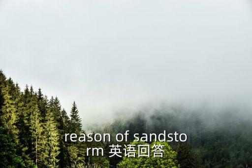 reason of sandstorm 英語回答