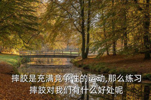  摔跤是充滿(mǎn)競(jìng)爭(zhēng)性的運(yùn)動(dòng),那么練習(xí) 摔跤對(duì)我們有什么好處呢