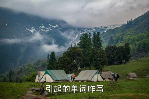 引起的單詞咋寫