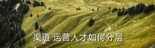  渠道 運營人才如何分層