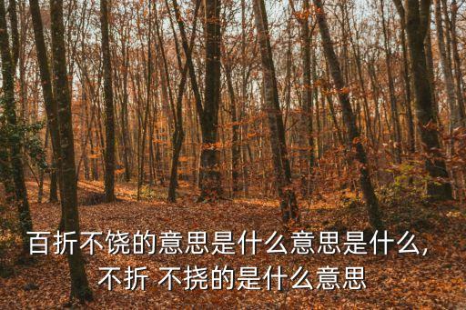 百折不饒的意思是什么意思是什么, 不折 不撓的是什么意思