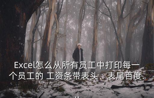 Excel怎么從所有員工中打印每一個員工的 工資條帶表頭、表尾百度...