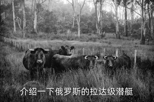 介紹一下俄羅斯的拉達級潛艇