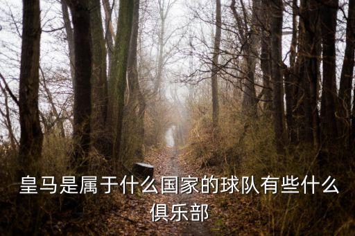  皇馬是屬于什么國家的球隊有些什么 俱樂部