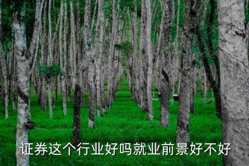 證券行業發展前景,證券專業畢業生就業范圍包括證券交易所
