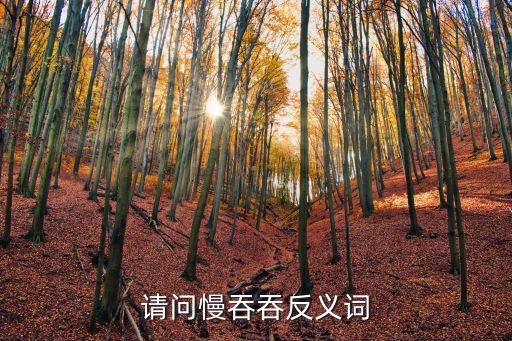 慢吞吞的反義詞，慢吞吞的反義詞是什么
