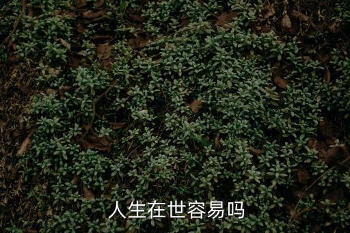  人生在世容易嗎