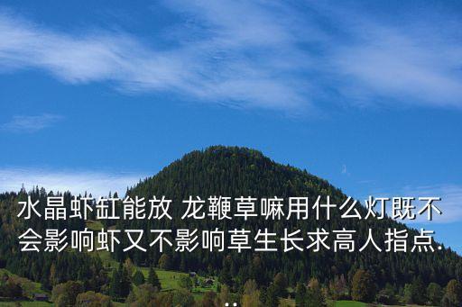 龍鞭草,水晶蝦適應酸性水質喜歡堿性水生植物不適合飼養