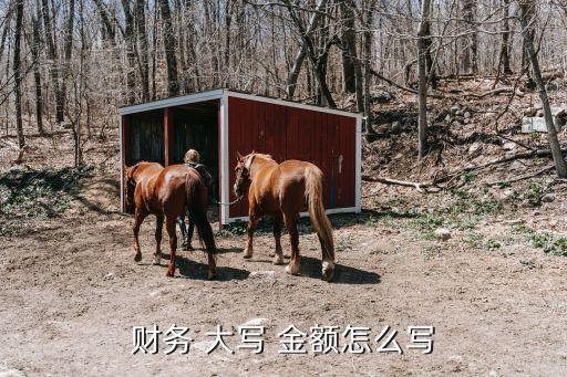 財務(wù) 大寫 金額怎么寫