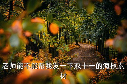 老師能不能幫我發一下雙十一的海報素材