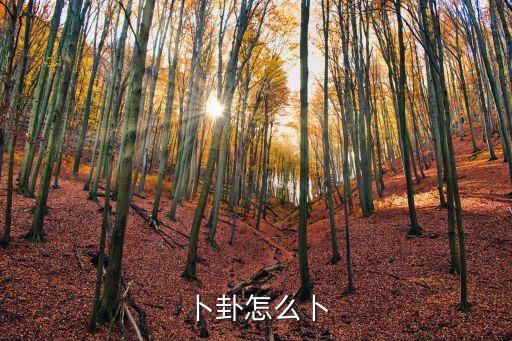 周易卜卦方法,中國算卦發展歷程如下