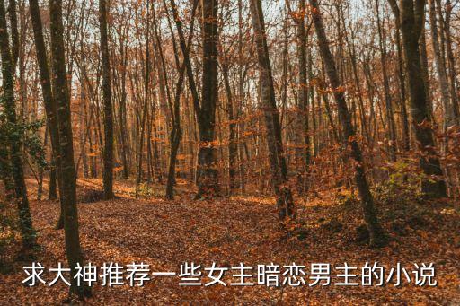 求大神推薦一些女主暗戀男主的小說(shuō)