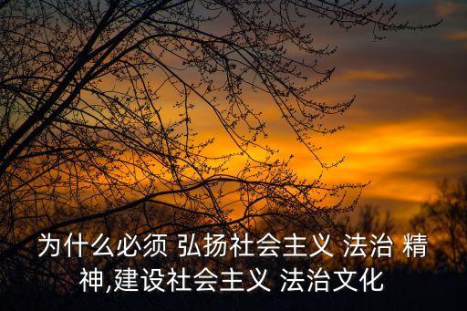 弘揚法治精神,內化法治精神樹立人民法治新標準