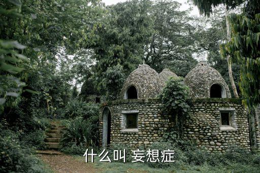什么叫 妄想癥