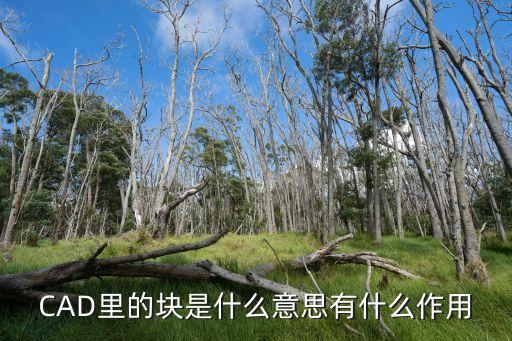 CAD里的塊是什么意思有什么作用