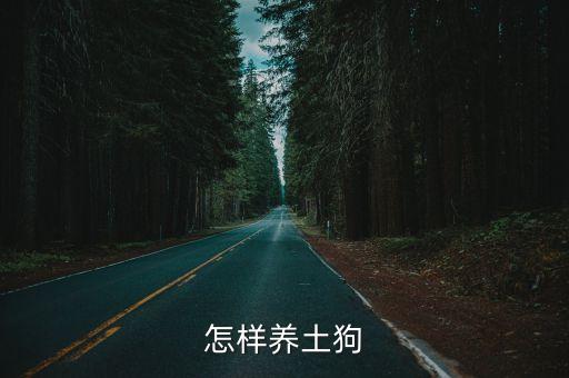 怎樣養土狗