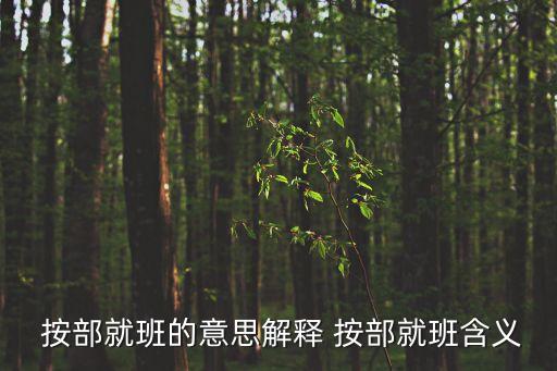 按部就班的意思,按部就班的四世同堂