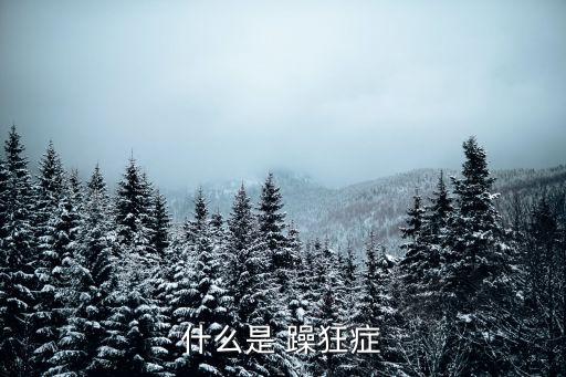 躁狂癥屬于幾級精神病