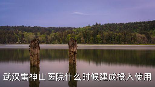 雷神山醫(yī)院，武漢雷神山醫(yī)院什么時(shí)候建成投入使用