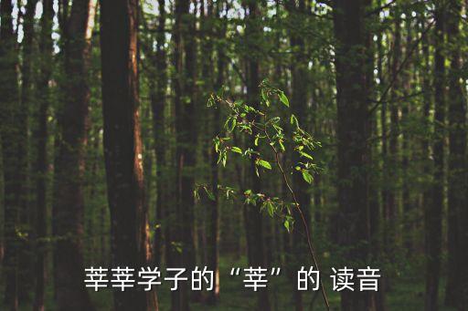 莘的讀音,學(xué)生眾多已不再是稱呼而是習(xí)語