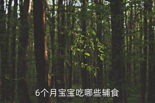 6個月寶寶吃哪些輔食