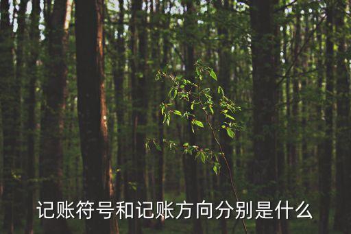 記賬符號，會計當中的記帳符號是什么