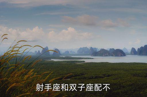 射手座和雙子座配不