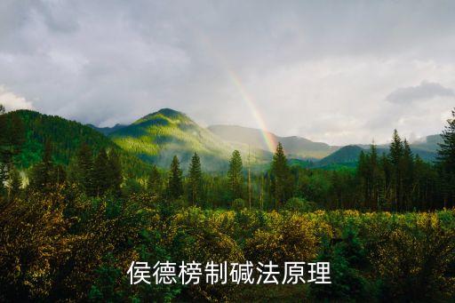 侯德榜,中國化學(xué)家侯德榜化學(xué)貢獻(xiàn)三等