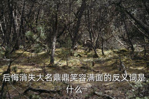 后悔消失大名鼎鼎笑容滿面的反義詞是什么