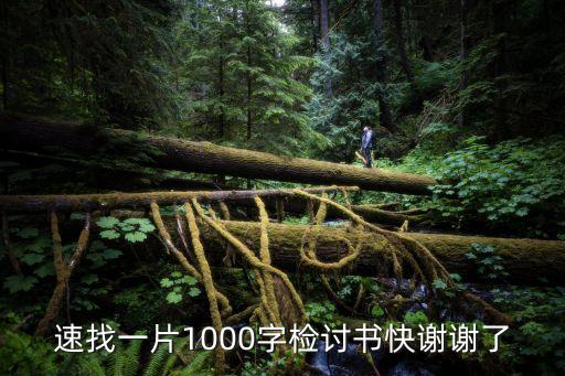 檢討書1000，寫檢討書1000字