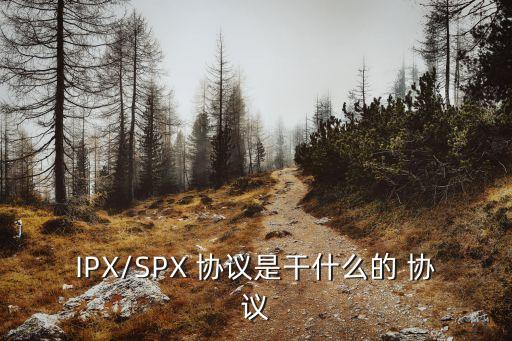ipx協(xié)議,局域網(wǎng)中廣泛使用的網(wǎng)絡(luò)協(xié)議是spx/xx