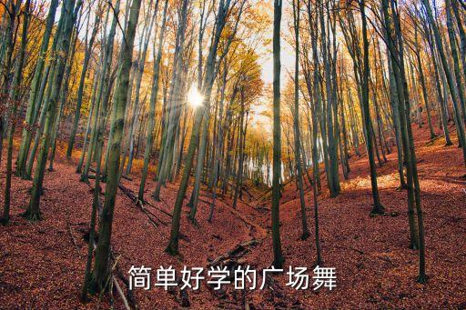 學最簡單的廣場舞，簡單好學的廣場舞