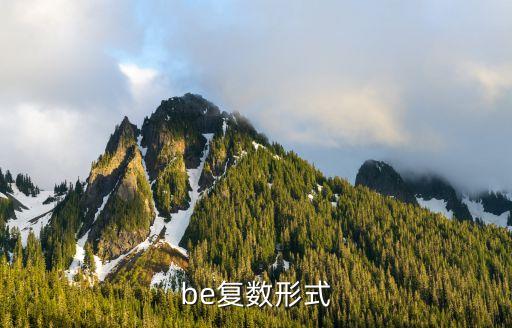 be復(fù)數(shù)形式