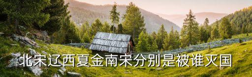 金滅遼,遼金結盟稱海之盟云云地區(qū)歸宋朝