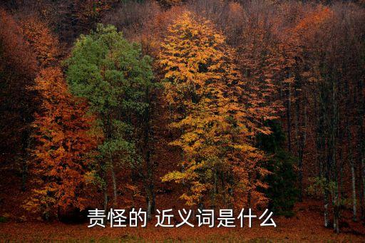 責怪的 近義詞是什么