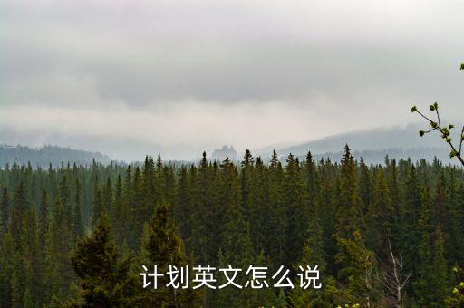 策劃英文，寫一個市場計(jì)劃的策劃書英語作文200字?jǐn)?shù)