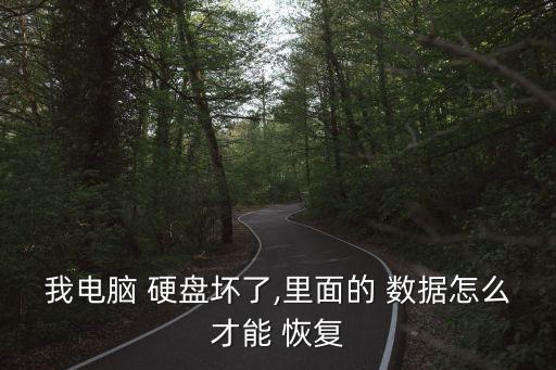 我電腦 硬盤壞了,里面的 數據怎么才能 恢復