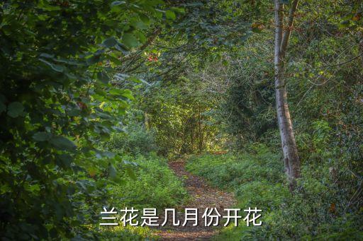 蘭花是幾月份開花