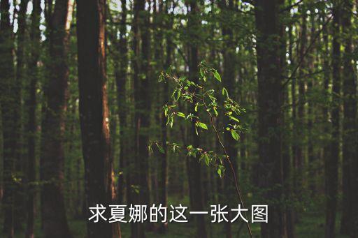 求夏娜的這一張大圖